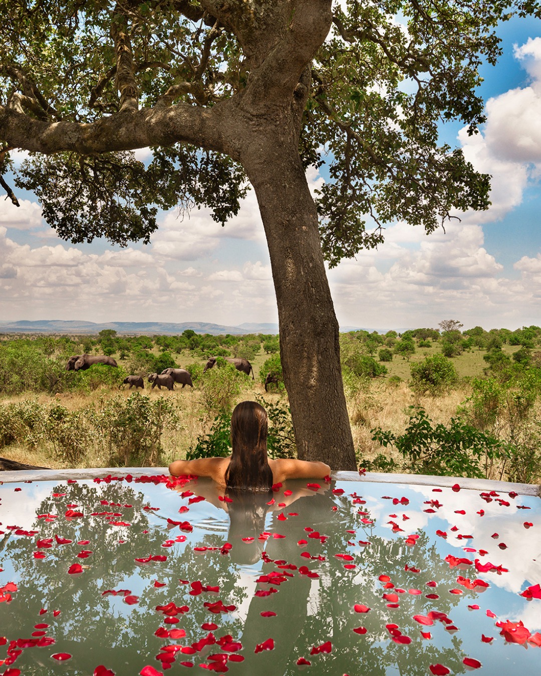 tourist enjoying pool water in masai mara kenya